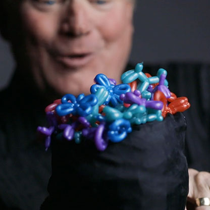 Animinimals by Billy Damon