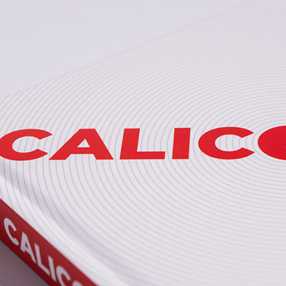 Calico by Rick Holcome