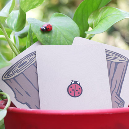Lucky Ladybug by Joshua Ray & Deuce Gala Magic
