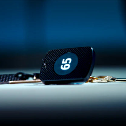 PITATA Prediction Keychain