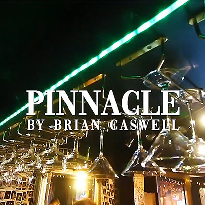 Pinnacle by Brian Caswell