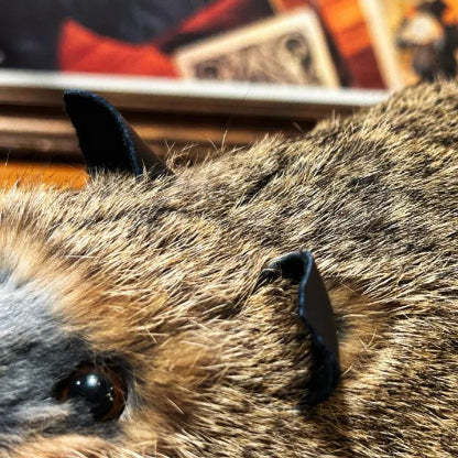 Oliver the Magic Raccoon by Bacon Magic