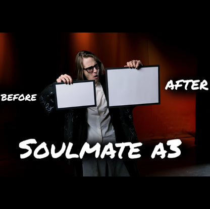 Soulmate (Large A3 size) by Hide & Sergey Koller