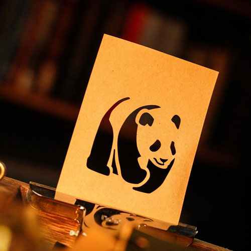 The Paper Cut by Elvis Zheng and TCC