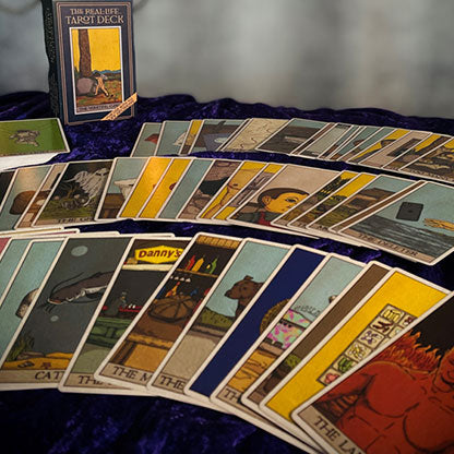 Real-Life Tarot Deck by David Regal