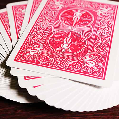 Bicycle Cards - Fuschia Back