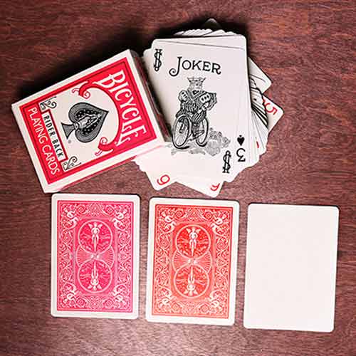 Bicycle Cards - Fuschia Back