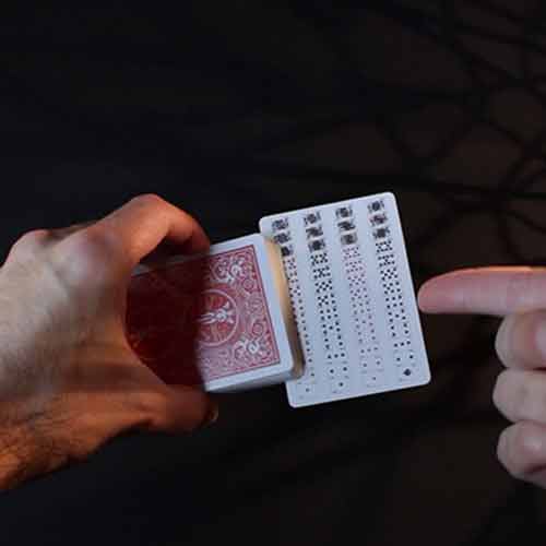 Bicycle Special Deck Playing Cards (plus 11 Online Effects)