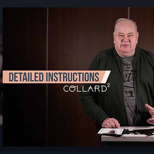 Collard 2 by John Archer