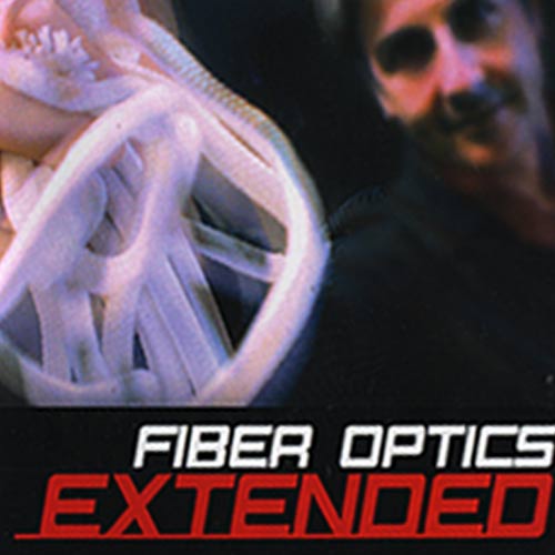 Fiber Optics Extended by Richard Sanders