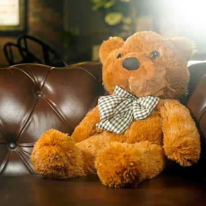 Appearing Teddy Bear by J.C Magic & Bacon Magic (Standard Version)