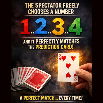 Are You Sure? by Damien Vappereau and Marc Céliandre