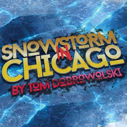 Snowstorm In Chicago (Red) by Tom Dobrowolski and Bigblindmedia