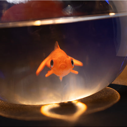Fishbowl Production by Murphy's Magic