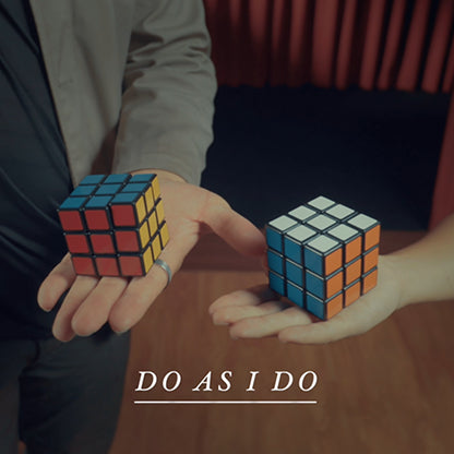 Paradox Cube by Crazy Sam and Henry Harrius