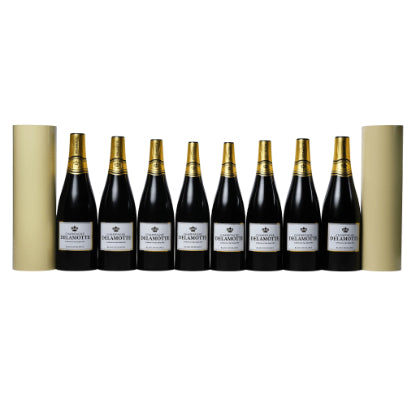 Miracle Wine Bottles Champagne Model by TCC Magic