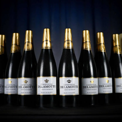 Miracle Wine Bottles Champagne Model by TCC Magic