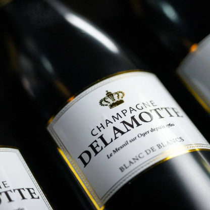 Miracle Wine Bottles Champagne Model by TCC Magic