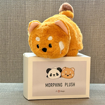 Morphing Plush (Panda to Raccoon) by Jackie Zhao and JT Magic