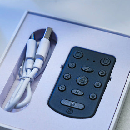 PITATA Palm Remote