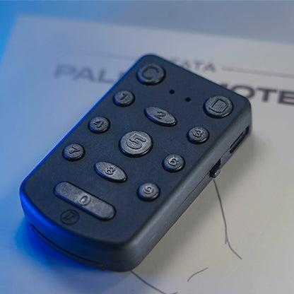 PITATA Palm Remote