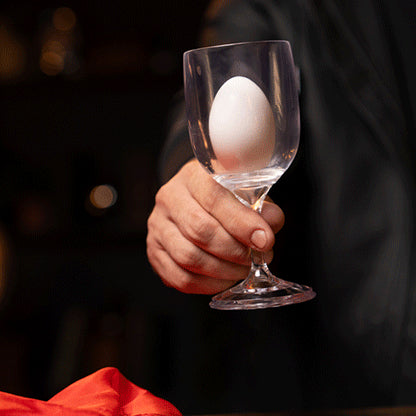 Portable Wine Glass Set by Murphy's Magic