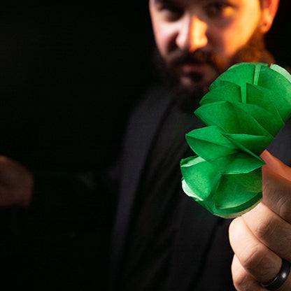 Spring Flowers (2 pk Paper) by Murphy's Magic