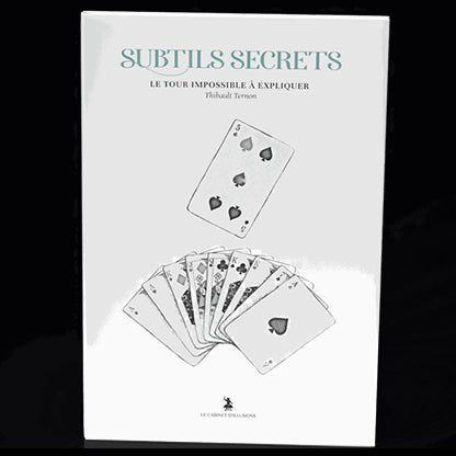 Subtle Secrets 2 by Thibault Ternon