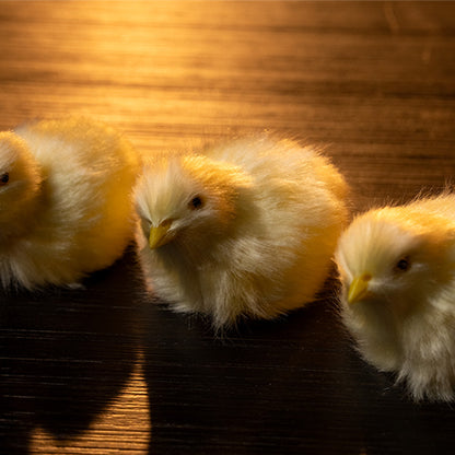The Final Load (Baby Chicks) by Murphy's Magic