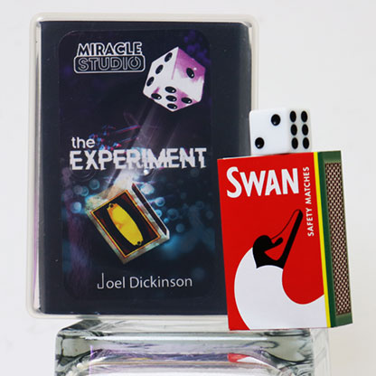 The Experiment by Joel Dickinson