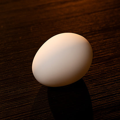 The Egg by Murphy's Magic