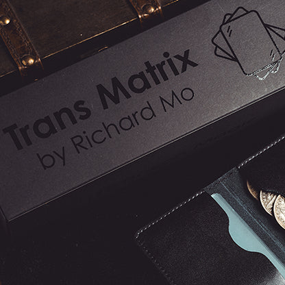 Transparent Matrix (Half Dollar) 2024 by Richard Mo