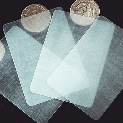 Transparent Matrix (Half Dollar) 2024 by Richard Mo