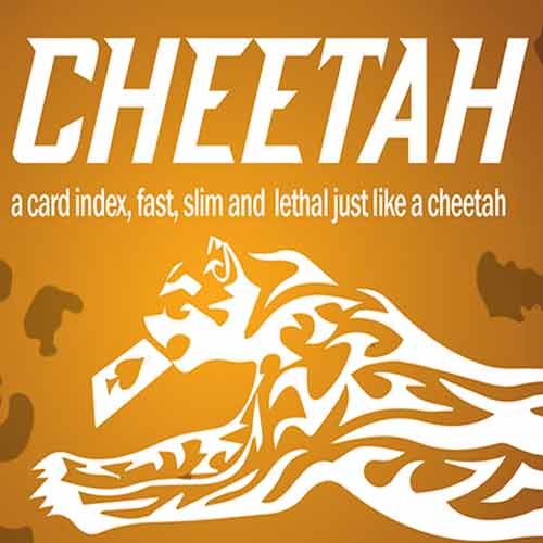 Cheetah by Berman Dabat