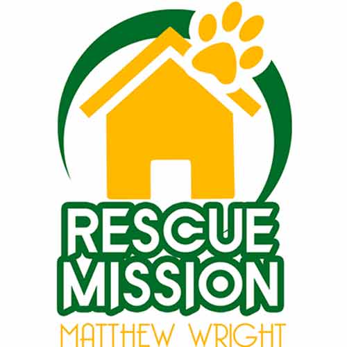 Rescue Mission by Matthew Wright